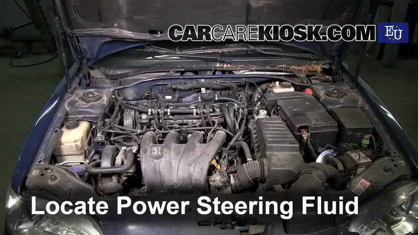 2002 Peugeot 306 Meridian 1.8L 4 Cyl. Power Steering Fluid Add Fluid